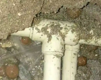 苏尼特左测漏水多少钱