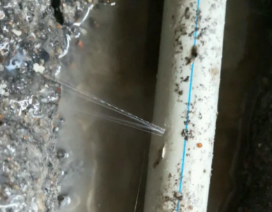 苏尼特左测漏水哪家好