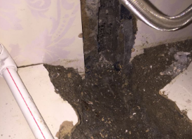 苏尼特左卫生间测漏水哪家好