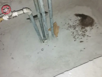 苏尼特左卫生间测漏水价格明细